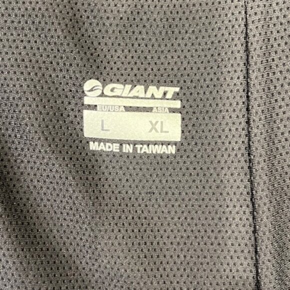 Men’s, Large, Giant, Mesh-lined Core Baggy Shorts - Picture 5 of 5